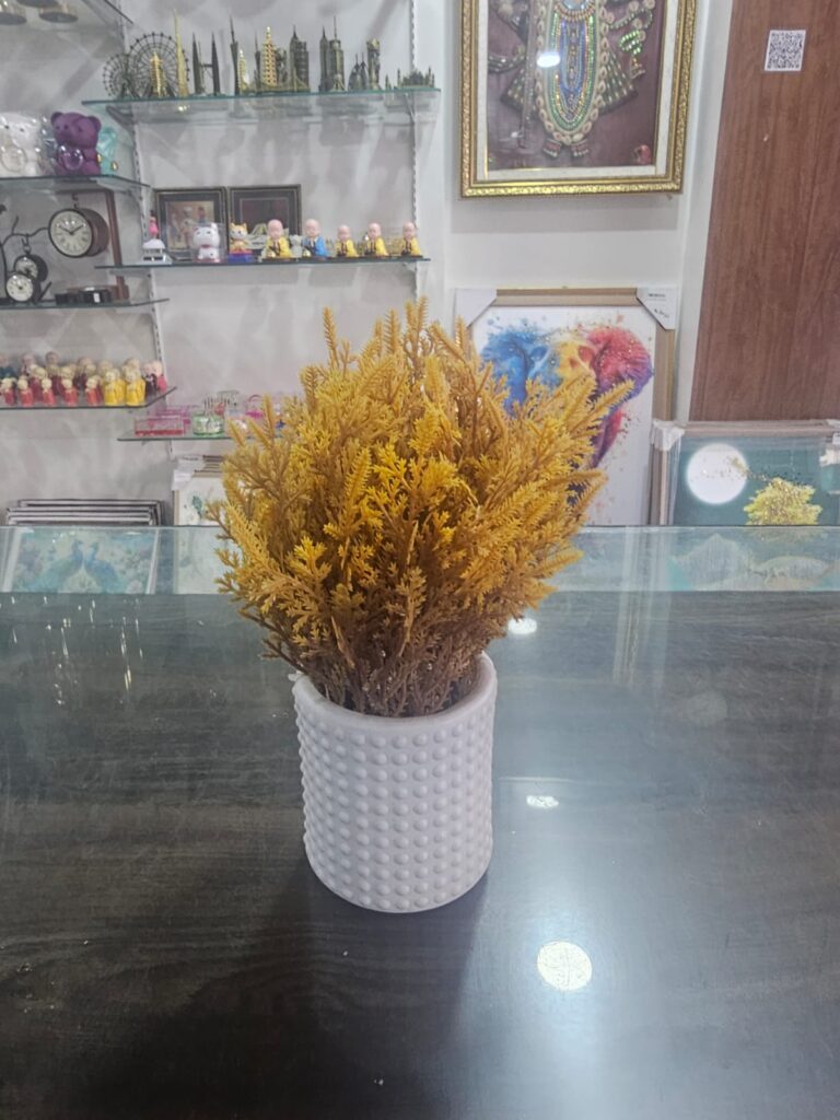 whatsapp image 2026 05 07 at 5.17.16 pm (2)