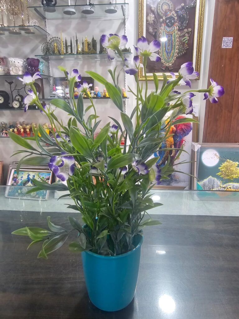whatsapp image 2026 05 07 at 5.17.16 pm (3)