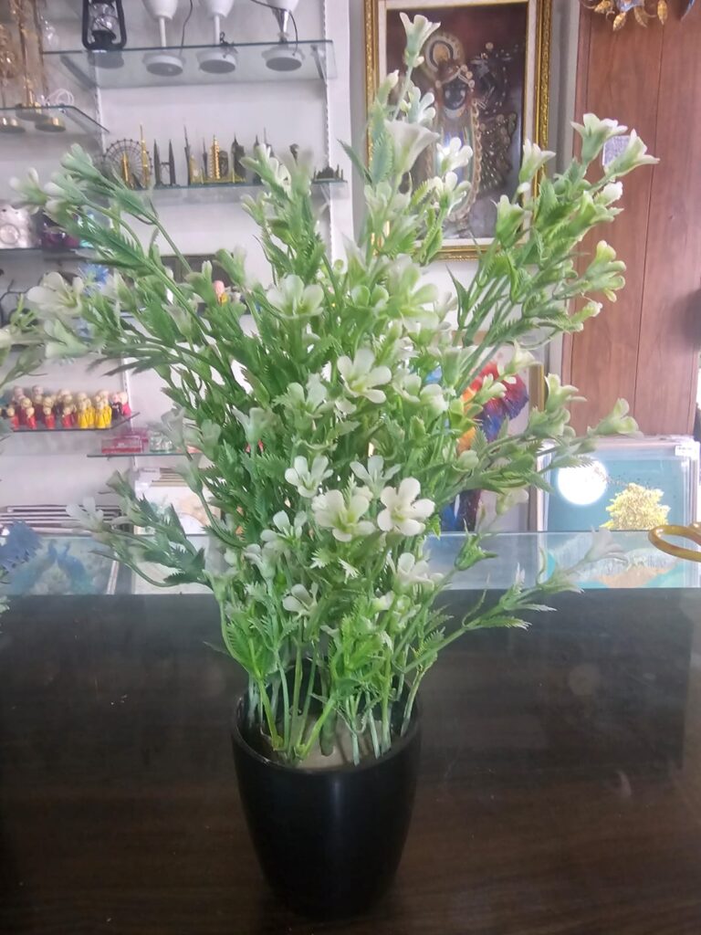 whatsapp image 2026 05 07 at 5.17.16 pm (4)